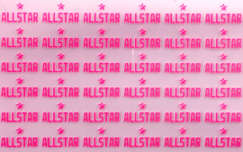 武漢三工鋼網(wǎng)帶全自動超級激光打標機,提升生產(chǎn)效率的利器